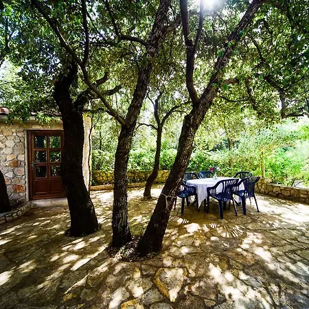 Apartman Mrva *