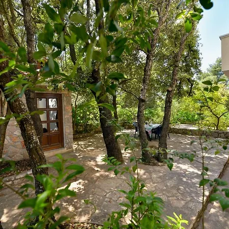 Mrva Apartman *